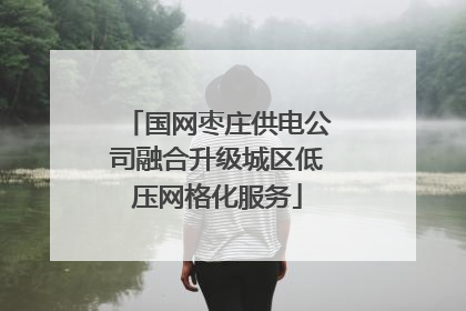 国网枣庄供电公司融合升级城区低压网格化服务
