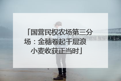 国营民权农场第三分场：金穗卷起千层浪 小麦收获正当时