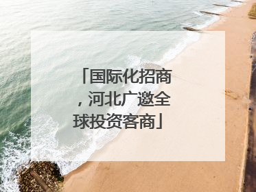 国际化招商，河北广邀全球投资客商