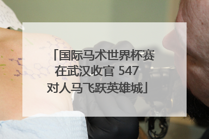 国际马术世界杯赛在武汉收官 547对人马飞跃英雄城