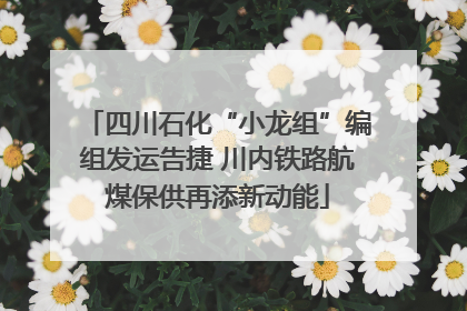 四川石化“小龙组”编组发运告捷 川内铁路航煤保供再添新动能