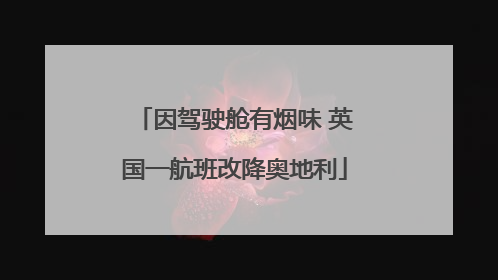 因驾驶舱有烟味 英国一航班改降奥地利