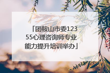 团鞍山市委12355心理咨询师专业能力提升培训举办