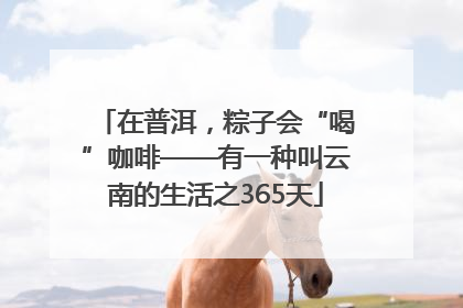 在普洱，粽子会“喝”咖啡——有一种叫云南的生活之365天