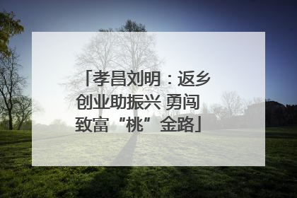 孝昌刘明：返乡创业助振兴 勇闯致富“桃”金路