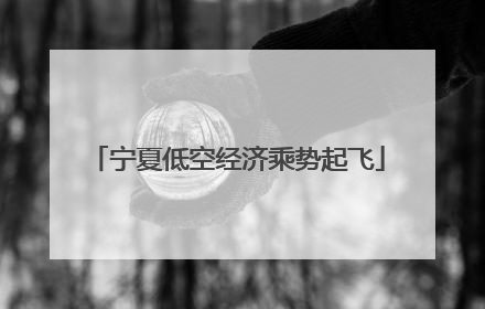 宁夏低空经济乘势起飞