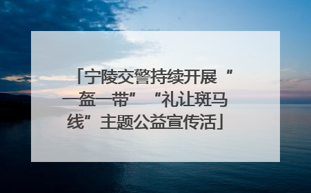 宁陵交警持续开展“一盔一带”“礼让斑马线”主题公益宣传活