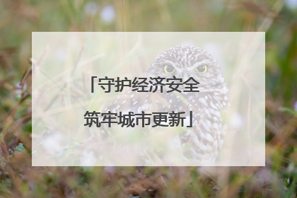 守护经济安全 筑牢城市更新