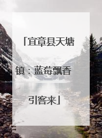 宜章县天塘镇：蓝莓飘香引客来