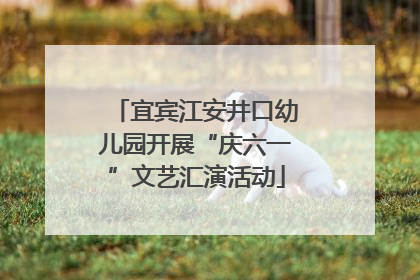 宜宾江安井口幼儿园开展“庆六一”文艺汇演活动