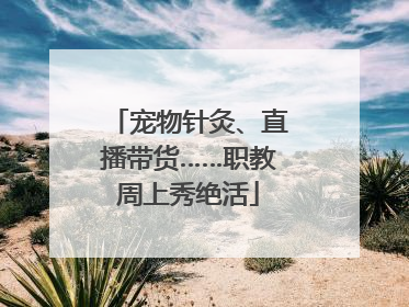 宠物针灸、直播带货……职教周上秀绝活