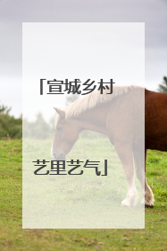 宣城乡村 艺里艺气