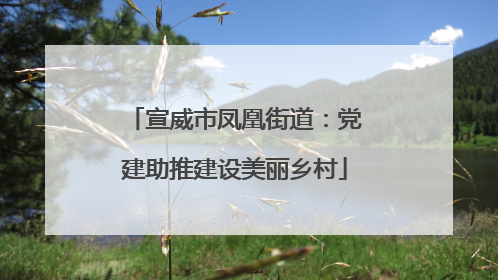 宣威市凤凰街道：党建助推建设美丽乡村