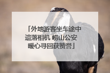 外地游客坐车途中遗落相机 崂山公安暖心寻回获赞誉