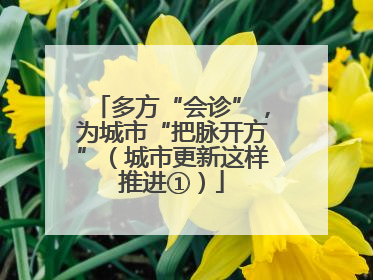 多方“会诊”，为城市“把脉开方”（城市更新这样推进①）