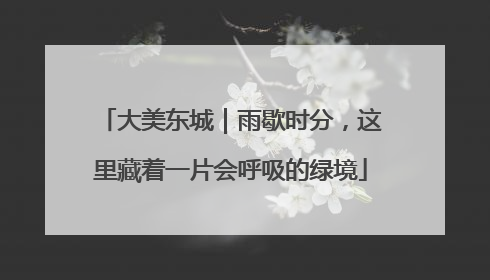 大美东城｜雨歇时分，这里藏着一片会呼吸的绿境
