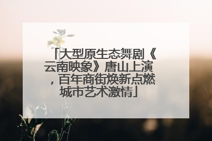 大型原生态舞剧《云南映象》唐山上演，百年商街焕新点燃城市艺术激情