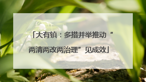 大有镇：多措并举推动“两清两改两治理”见成效