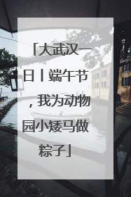 大武汉一日丨端午节，我为动物园小矮马做粽子