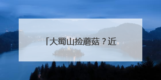 大蜀山捡蘑菇?近期疯长!官方提醒:不要随意采摘食用