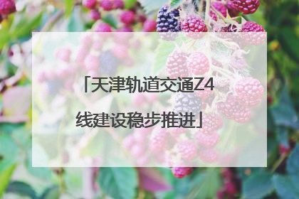 天津轨道交通Z4线建设稳步推进