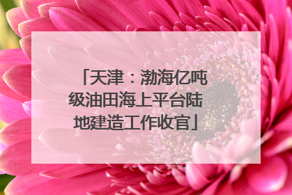 天津：渤海亿吨级油田海上平台陆地建造工作收官