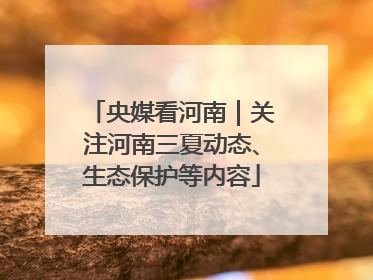 央媒看河南｜关注河南三夏动态、生态保护等内容