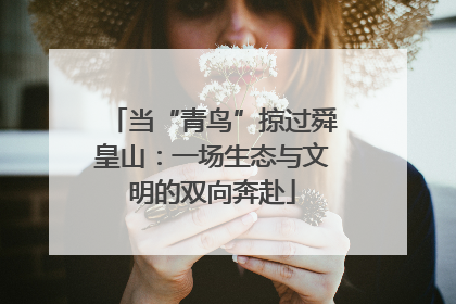 当“青鸟”掠过舜皇山：一场生态与文明的双向奔赴