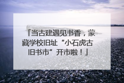 当古建遇见书香，蒙藏学校旧址“小石虎古旧书市”开市啦！