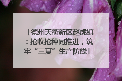 德州天衢新区赵虎镇：抢收抢种同推进，筑牢“三夏”生产防线