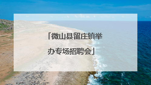 微山县留庄镇举办专场招聘会
