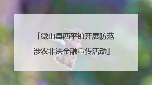 微山县西平镇开展防范涉农非法金融宣传活动
