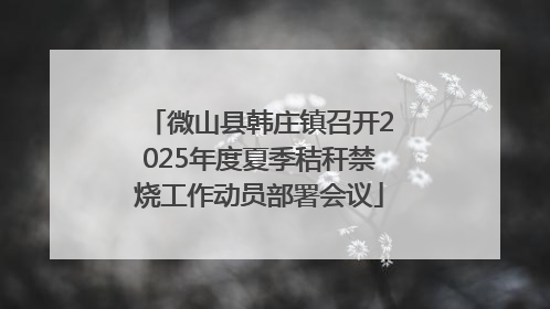 微山县韩庄镇召开2025年度夏季秸秆禁烧工作动员部署会议