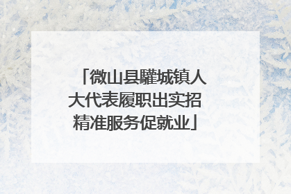 微山县驩城镇人大代表履职出实招精准服务促就业