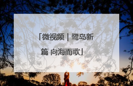 微视频｜鹭岛新篇 向海而歌