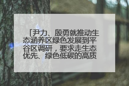 尹力、殷勇就推动生态涵养区绿色发展到平谷区调研，要求走生态优先、绿色低碳的高质量发展之路