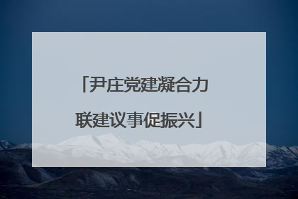 尹庄党建凝合力 联建议事促振兴