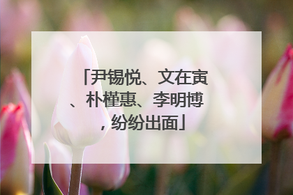 尹锡悦、文在寅、朴槿惠、李明博，纷纷出面