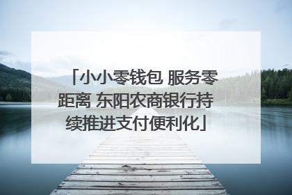 小小零钱包 服务零距离 东阳农商银行持续推进支付便利化