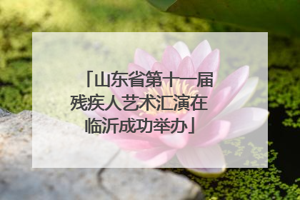 山东省第十一届残疾人艺术汇演在临沂成功举办