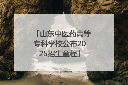 山东中医药高等专科学校公布2025招生章程