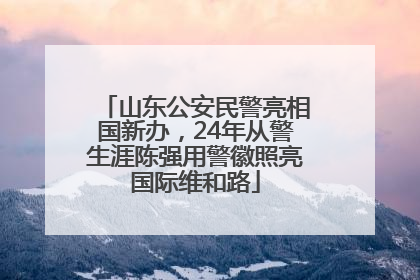 山东公安民警亮相国新办，24年从警生涯陈强用警徽照亮国际维和路