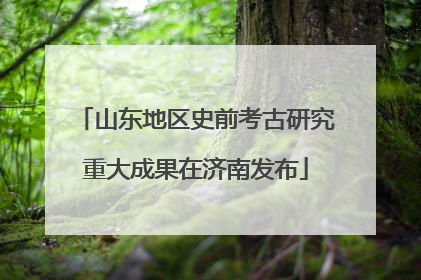 山东地区史前考古研究重大成果在济南发布