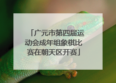 广元市第四届运动会成年组象棋比赛在朝天区开赛