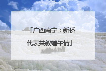广西南宁：新侨代表共叙端午情