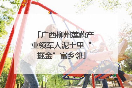 广西柳州莲藕产业领军人泥土里“掘金”富乡邻