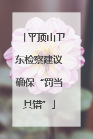 平顶山卫东检察建议确保“罚当其错”