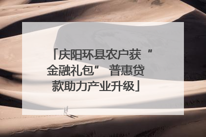 庆阳环县农户获“金融礼包” 普惠贷款助力产业升级