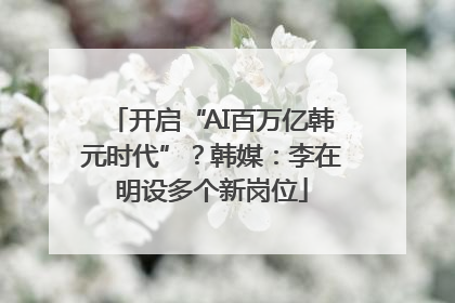 开启“AI百万亿韩元时代”？韩媒：李在明设多个新岗位