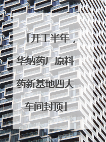 开工半年，华纳药厂原料药新基地四大车间封顶